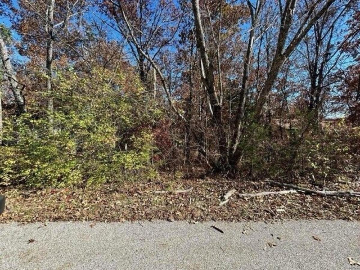 Picture of Residential Land For Sale in Hillsboro, Missouri, United States