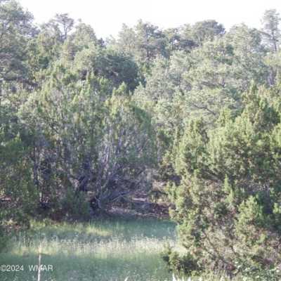 Residential Land For Sale in Eagar, Arizona