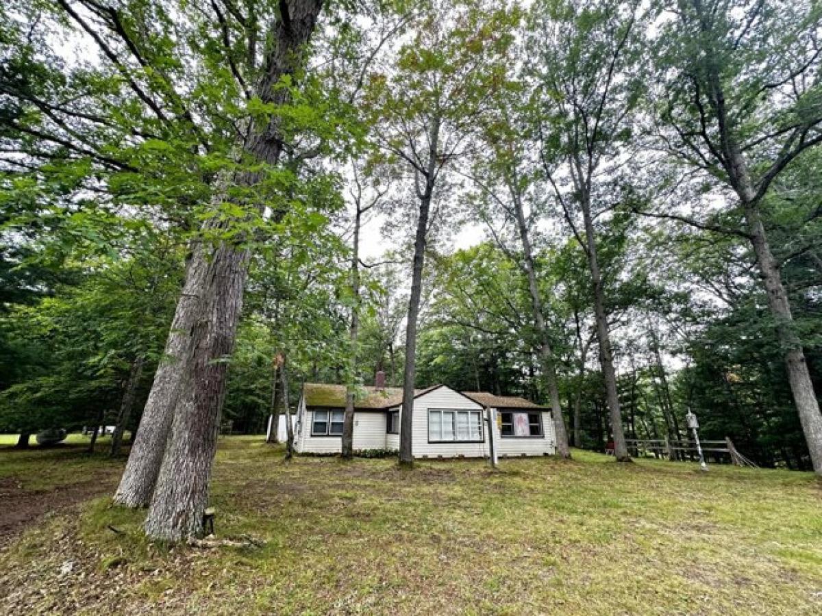 Picture of Home For Sale in Irons, Michigan, United States