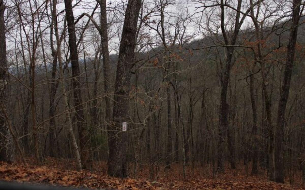 Picture of Residential Land For Sale in Hayesville, North Carolina, United States