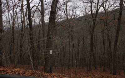 Residential Land For Sale in Hayesville, North Carolina