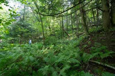 Residential Land For Sale in Grand View, Wisconsin