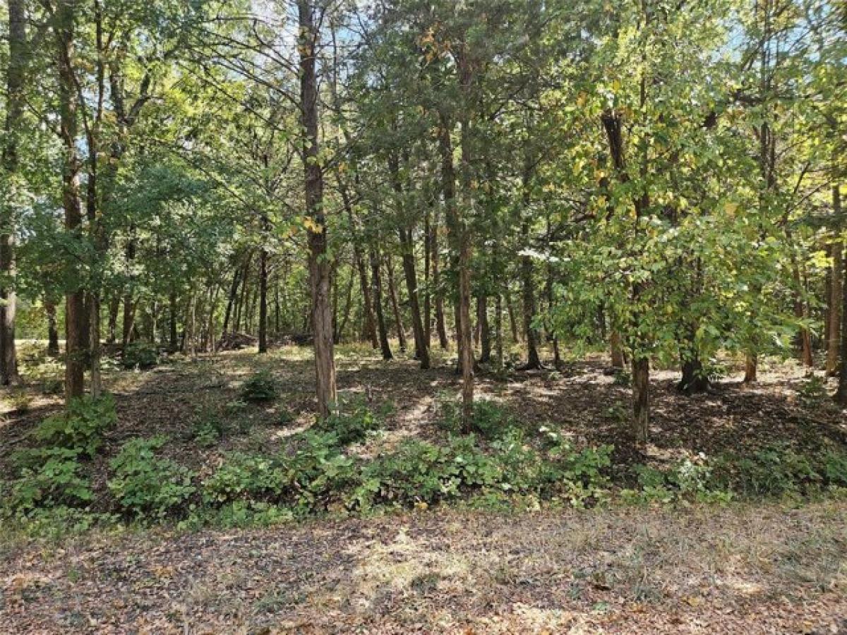 Picture of Residential Land For Sale in Paris, Texas, United States