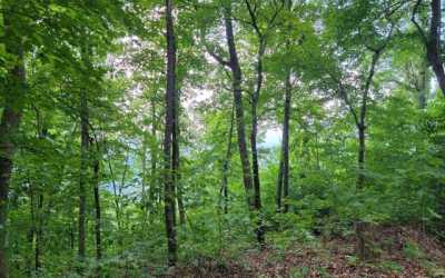 Residential Land For Sale in Hayesville, North Carolina