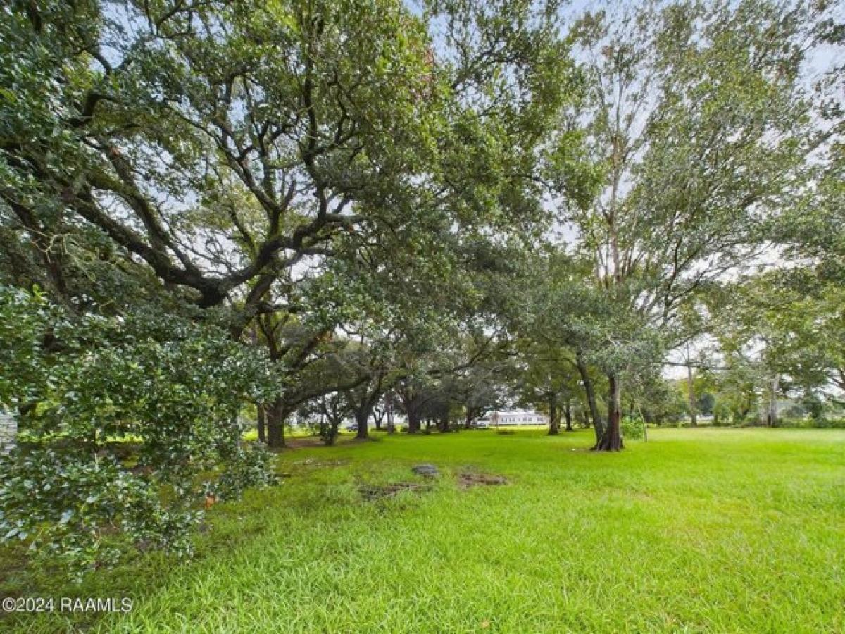 Picture of Residential Land For Sale in Abbeville, Louisiana, United States