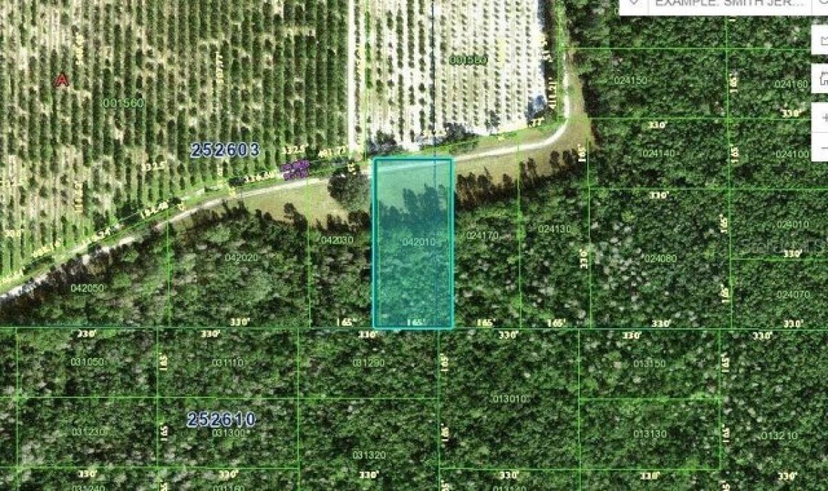 Picture of Residential Land For Sale in Polk City, Florida, United States