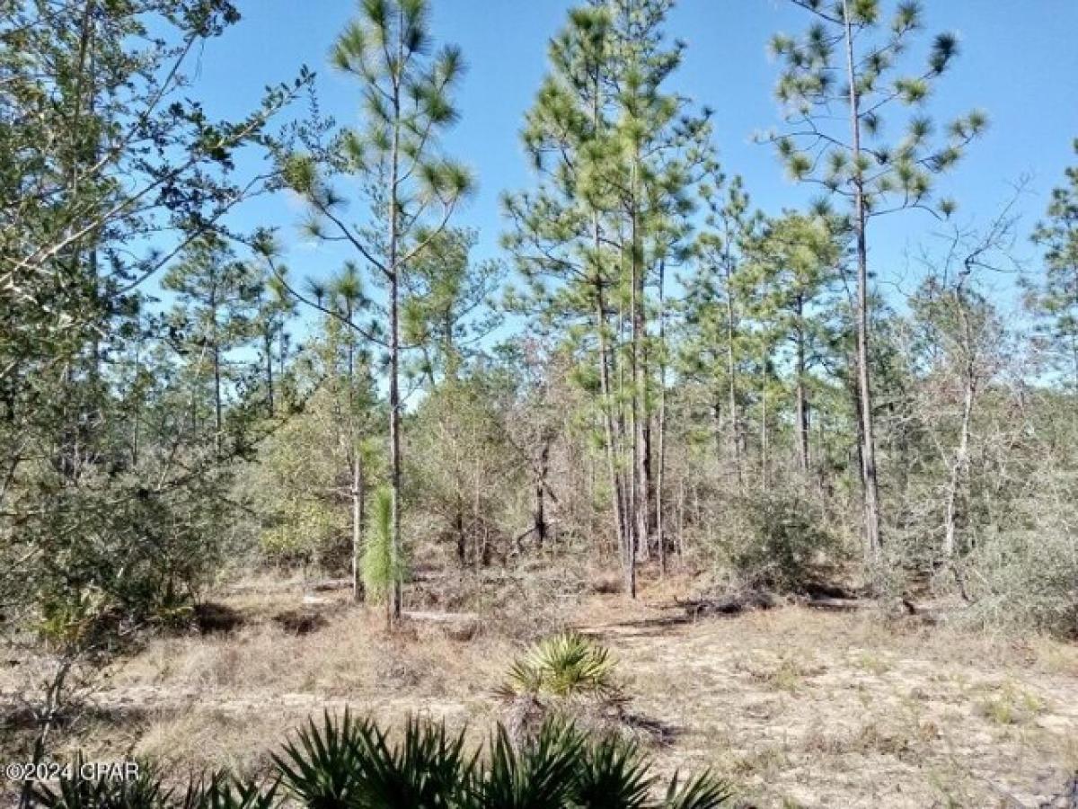 Picture of Residential Land For Sale in Chipley, Florida, United States