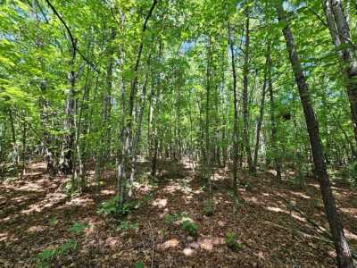 Residential Land For Sale in Gladstone, Virginia