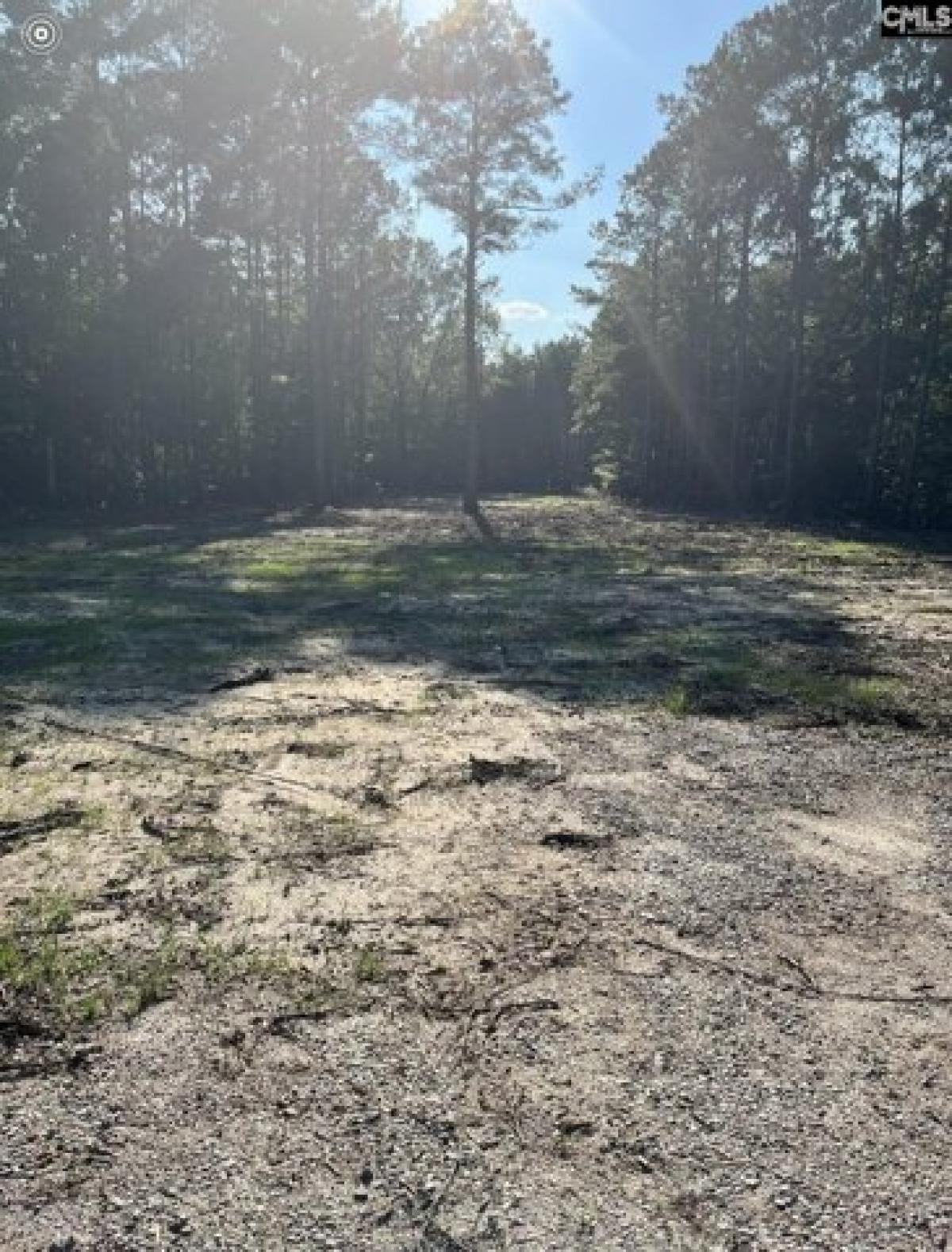 Picture of Residential Land For Sale in Gadsden, South Carolina, United States