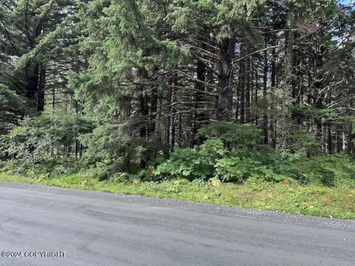 Picture of Residential Land For Sale in Haines, Alaska, United States