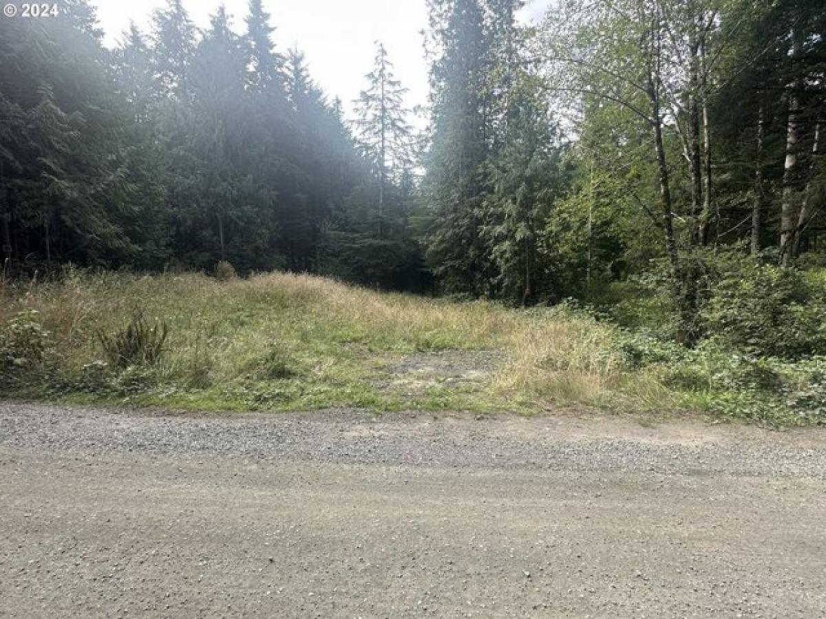 Picture of Residential Land For Sale in Florence, Oregon, United States