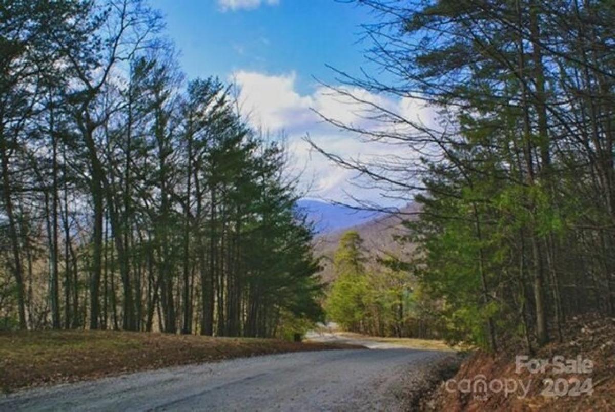 Picture of Residential Land For Sale in Union Mills, North Carolina, United States