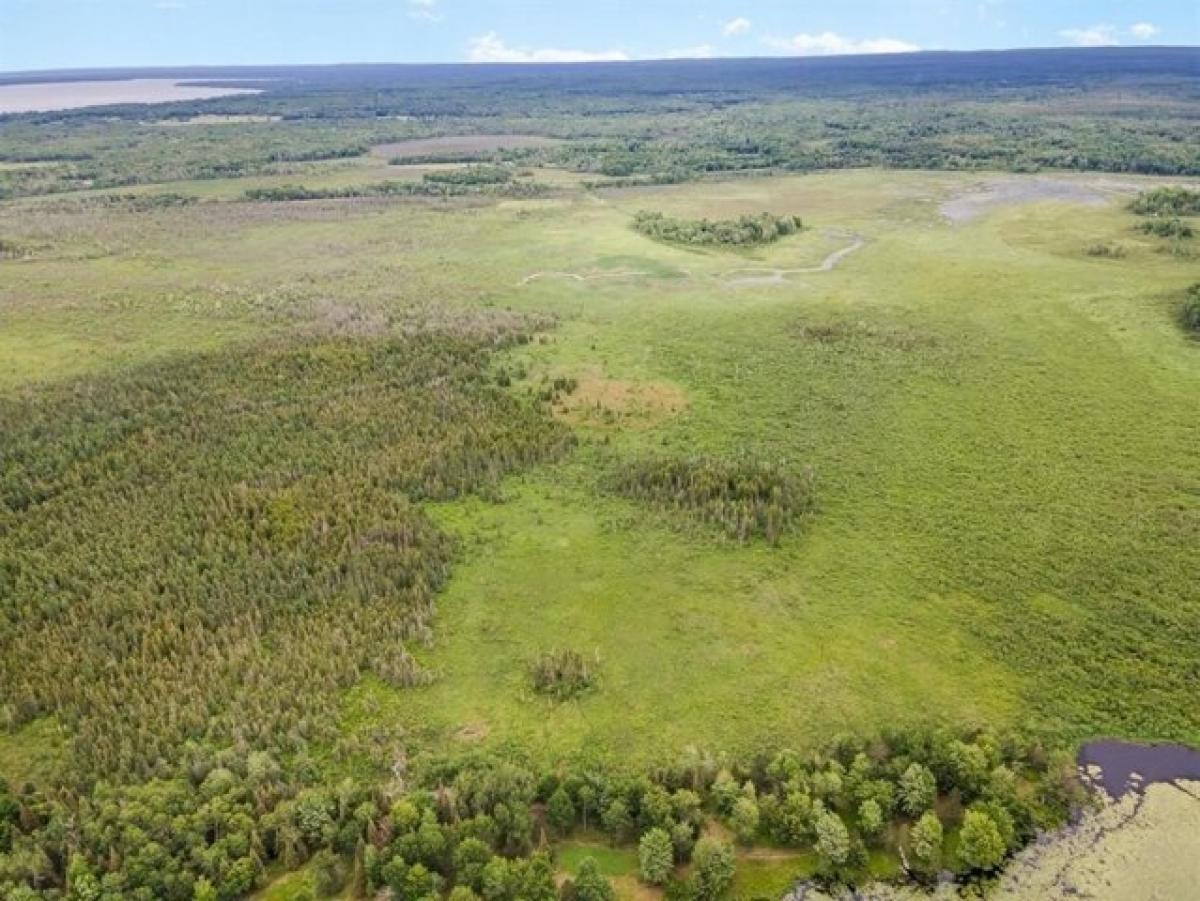 Picture of Residential Land For Sale in Houghton Lake, Michigan, United States