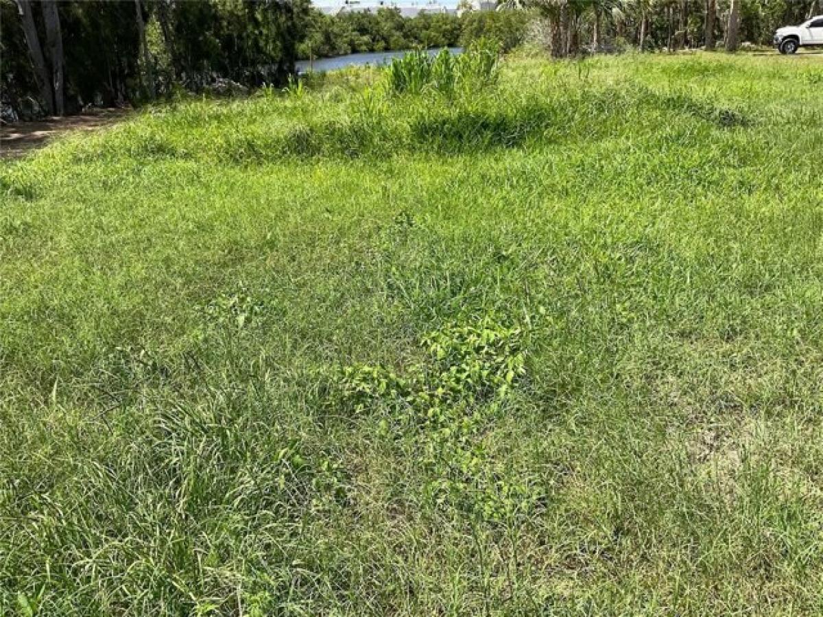 Picture of Residential Land For Sale in New Port Richey, Florida, United States