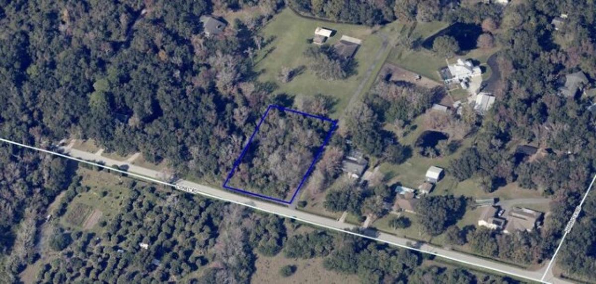 Picture of Residential Land For Sale in Mims, Florida, United States