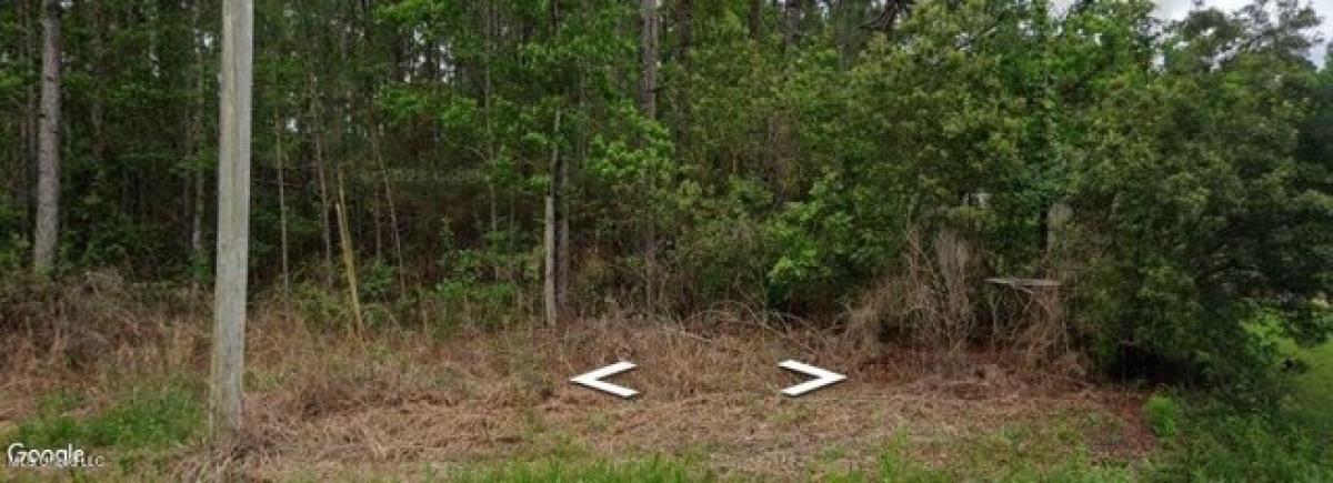 Picture of Residential Land For Rent in Bay Saint Louis, Mississippi, United States