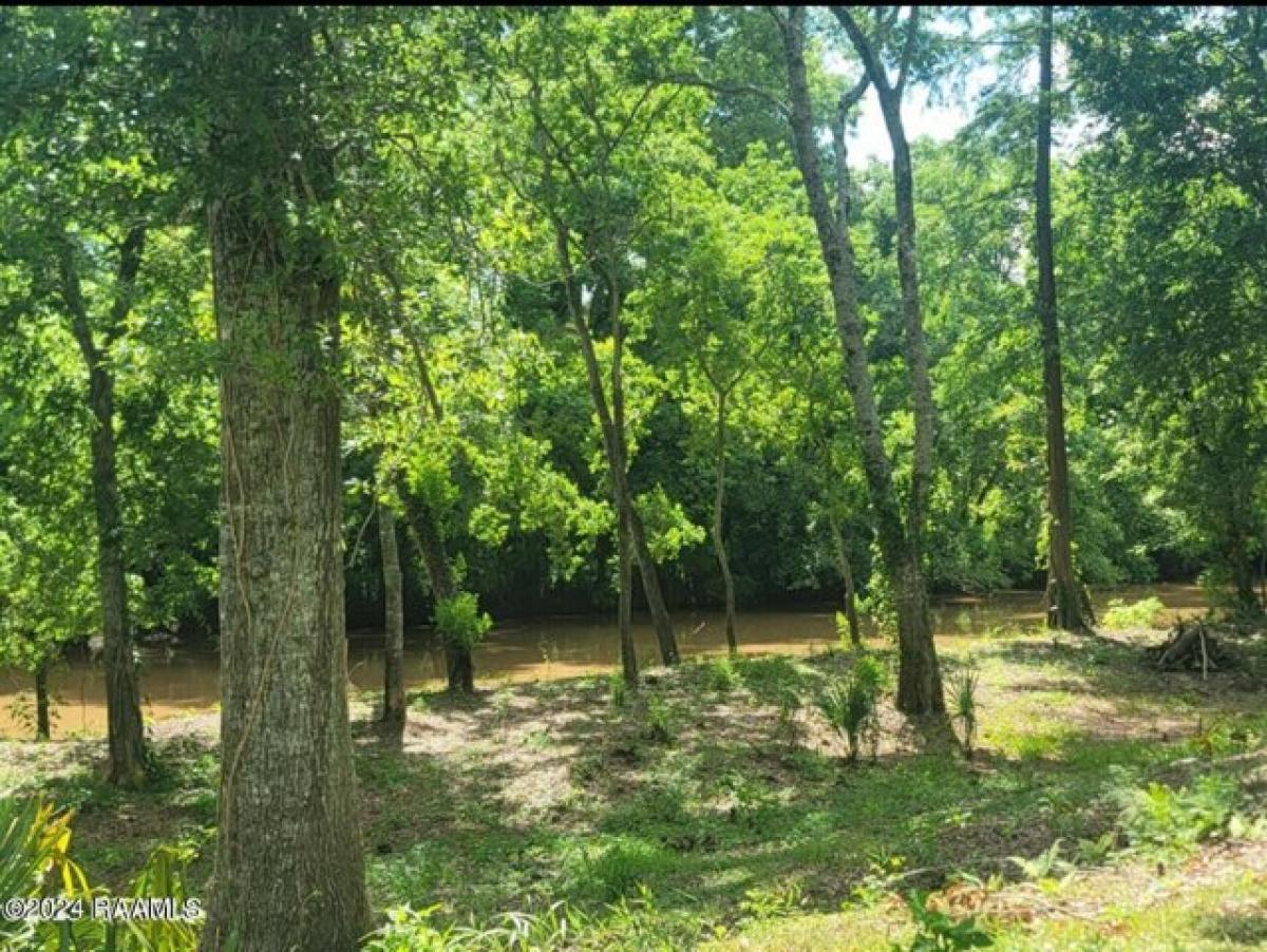 Picture of Residential Land For Sale in Arnaudville, Louisiana, United States