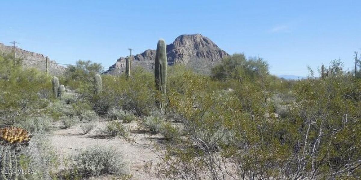 Picture of Residential Land For Sale in Tucson, Arizona, United States