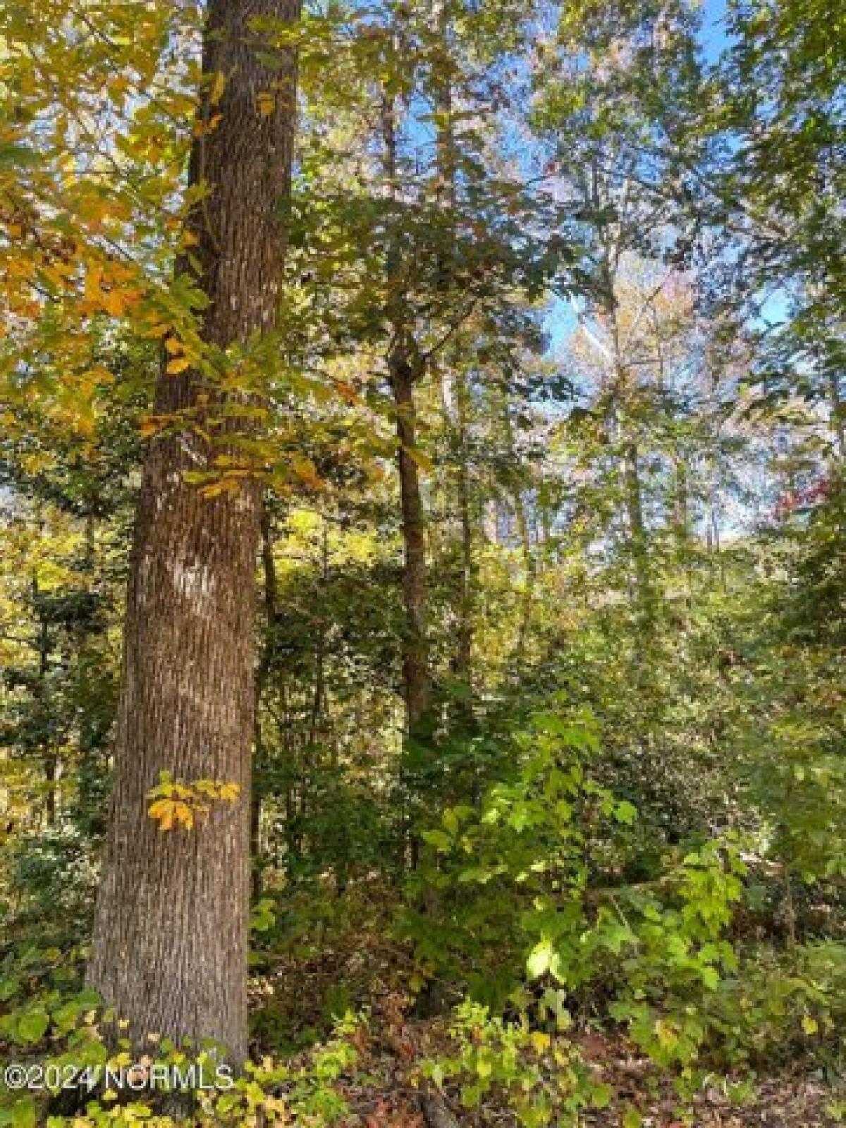 Picture of Residential Land For Sale in Robbins, North Carolina, United States