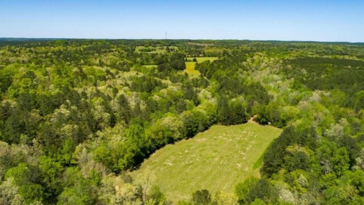 Picture of Residential Land For Sale in Eldridge, Alabama, United States