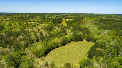 Residential Land For Sale in Eldridge, Alabama