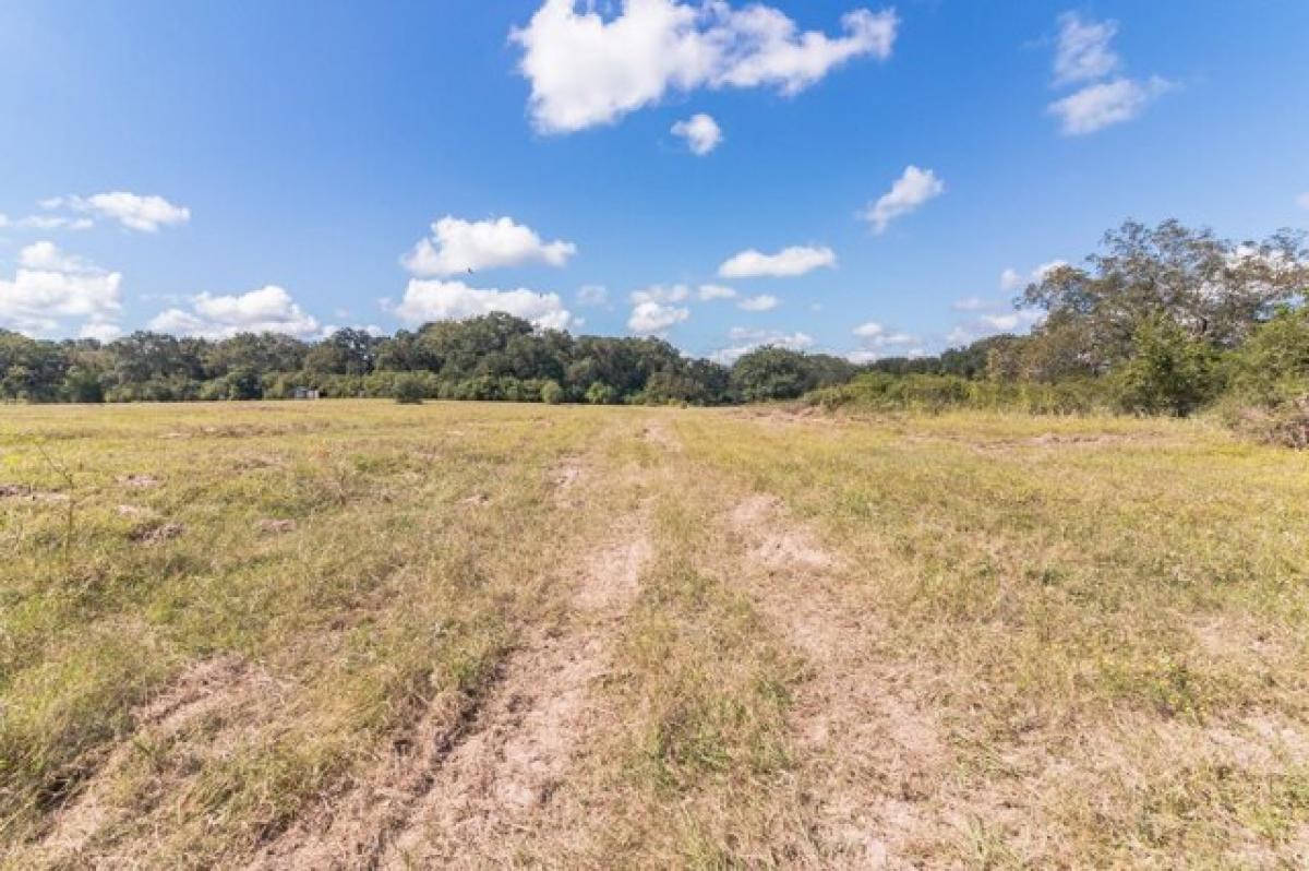 Picture of Residential Land For Sale in Hallettsville, Texas, United States