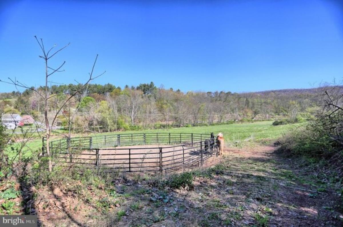 Picture of Residential Land For Sale in Dornsife, Pennsylvania, United States