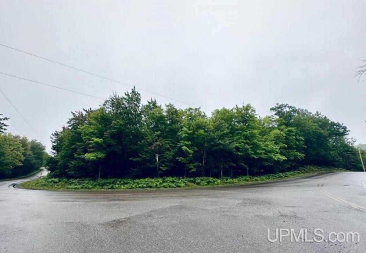 Picture of Residential Land For Sale in Negaunee, Michigan, United States