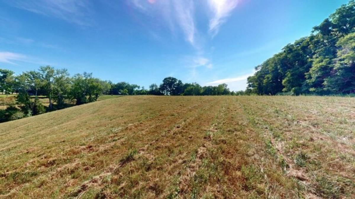 Picture of Residential Land For Sale in Brush Creek, Tennessee, United States