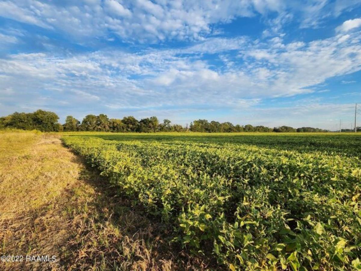 Picture of Residential Land For Sale in Carencro, Louisiana, United States