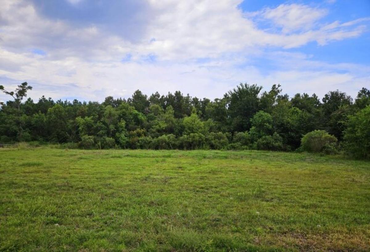 Picture of Residential Land For Sale in Vinton, Louisiana, United States