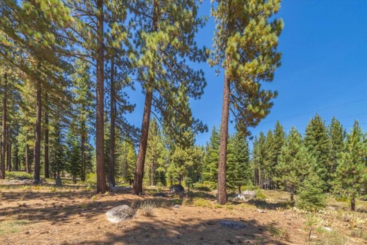 Picture of Residential Land For Sale in Truckee, California, United States