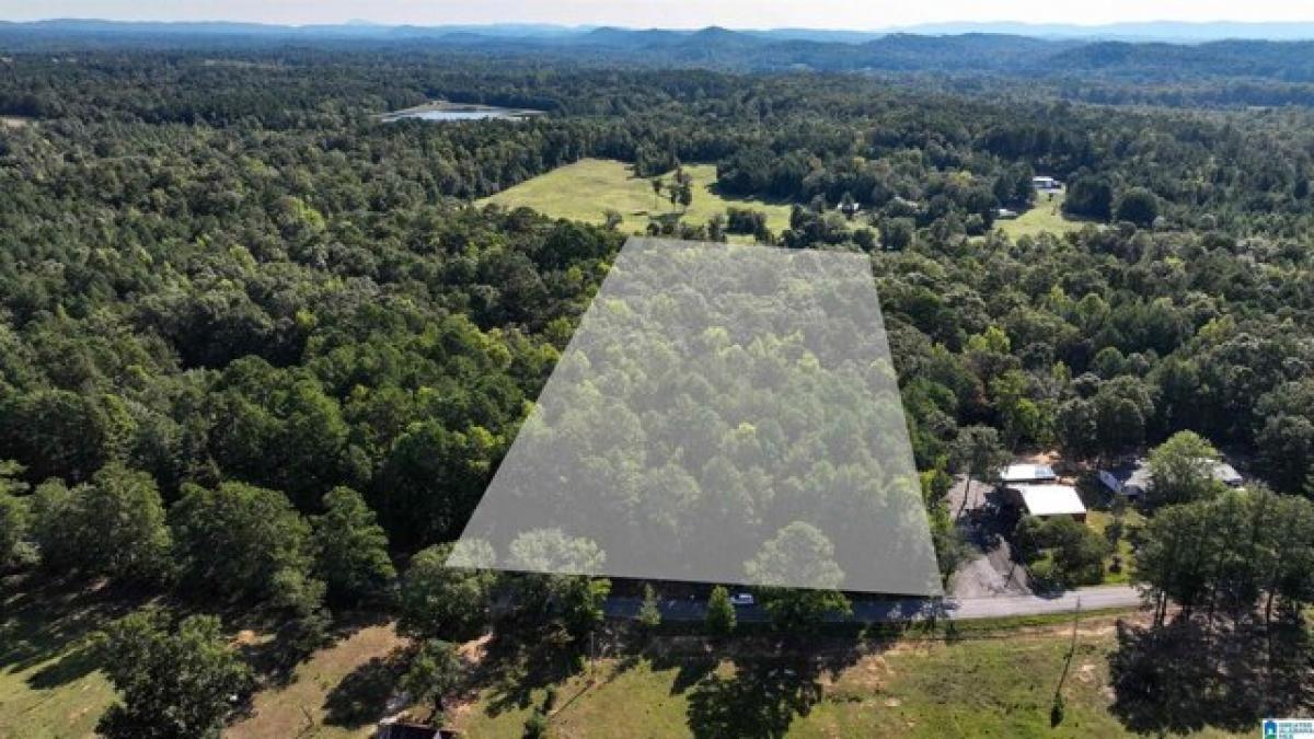 Picture of Residential Land For Sale in Ohatchee, Alabama, United States