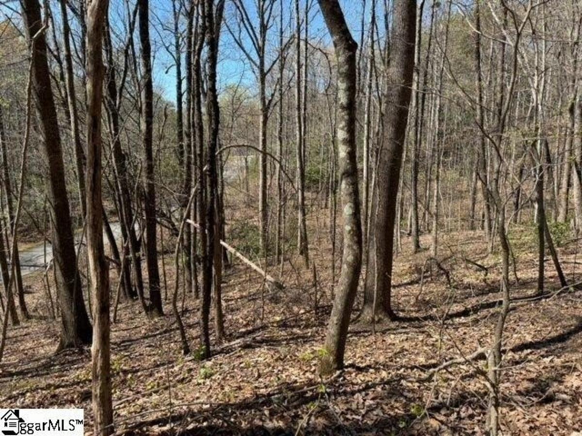 Picture of Residential Land For Sale in Landrum, South Carolina, United States