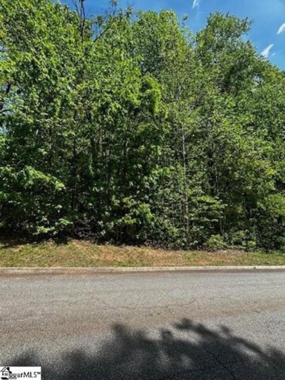 Picture of Residential Land For Sale in Greenville, South Carolina, United States