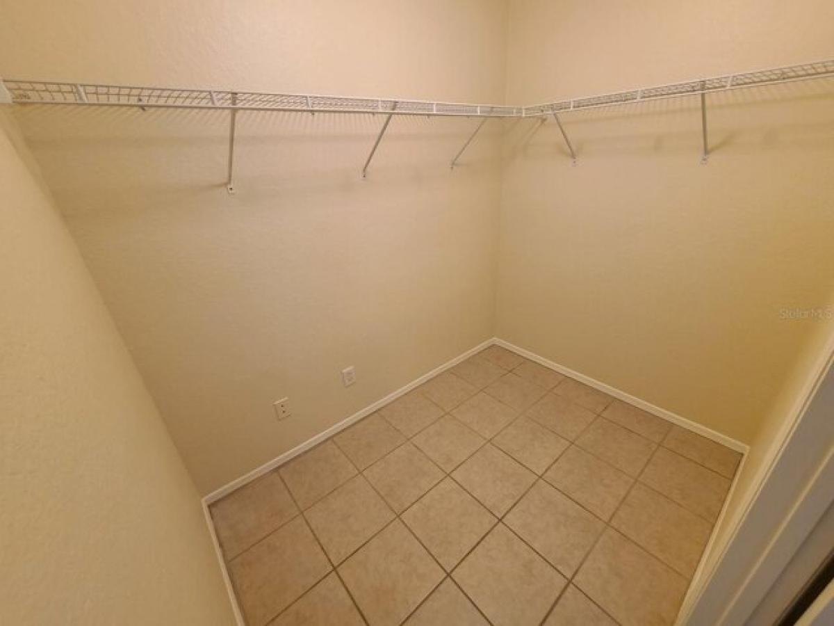 Picture of Home For Rent in Zephyrhills, Florida, United States