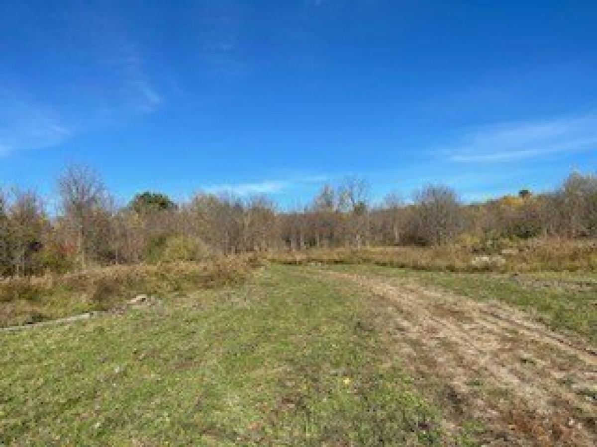 Picture of Residential Land For Sale in Groveland, New York, United States