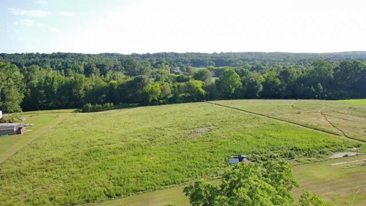 Picture of Residential Land For Sale in Vinemont, Alabama, United States