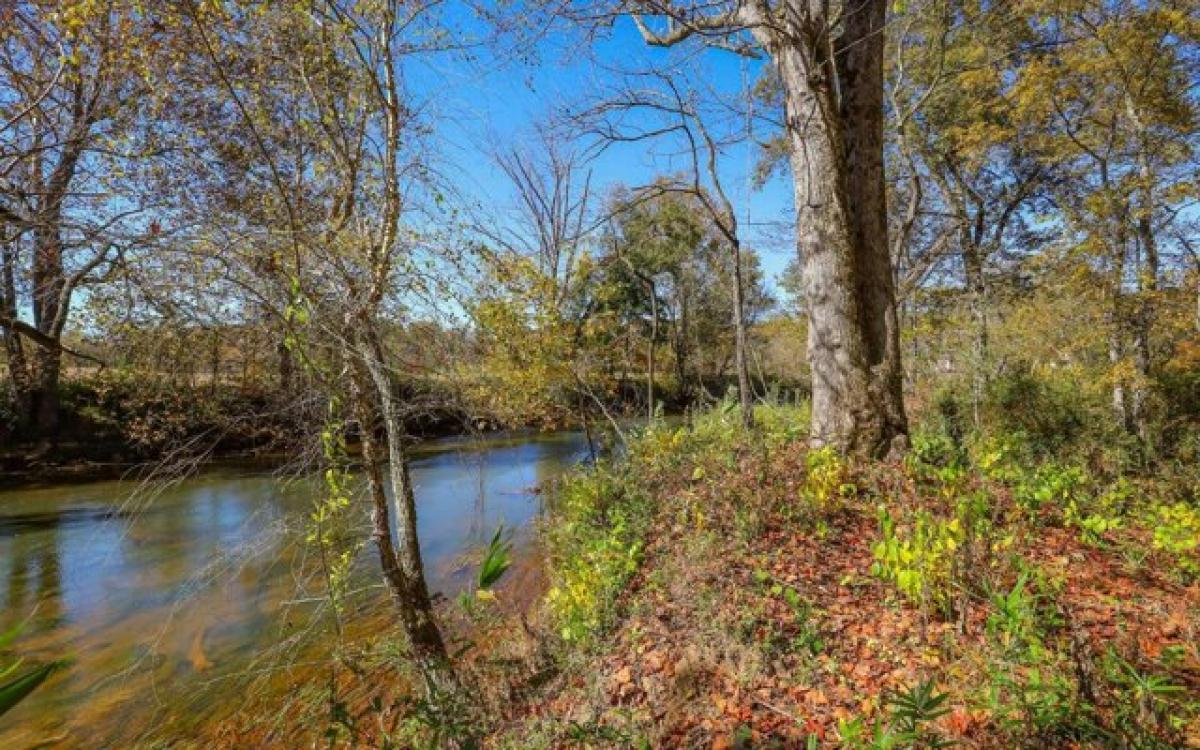 Picture of Residential Land For Sale in Hayesville, North Carolina, United States