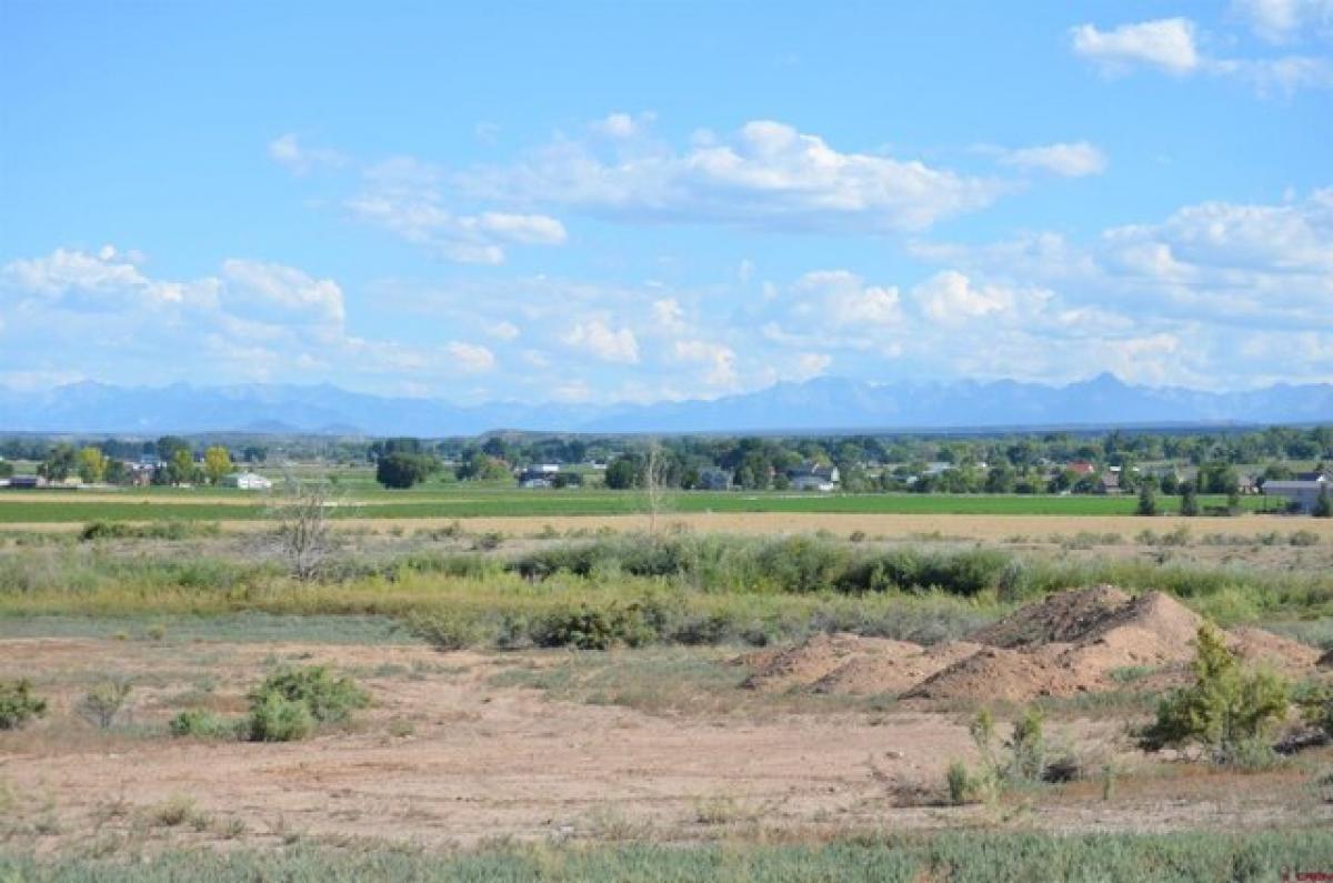 Picture of Residential Land For Sale in Montrose, Colorado, United States