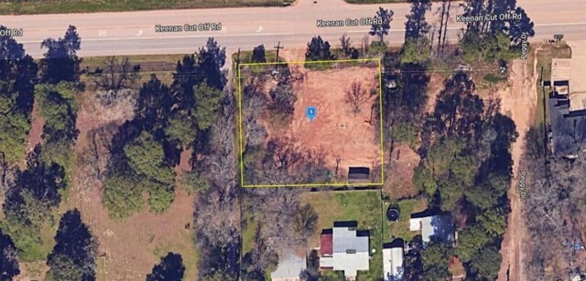 Picture of Residential Land For Sale in Montgomery, Texas, United States