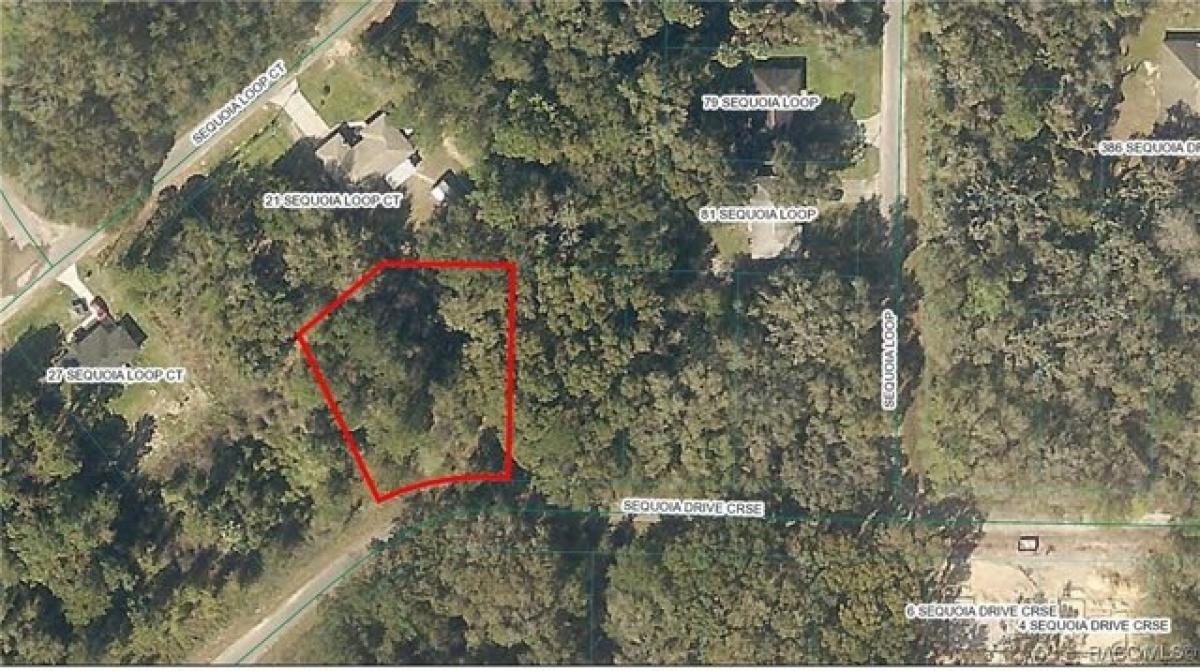 Picture of Residential Land For Sale in Ocklawaha, Florida, United States