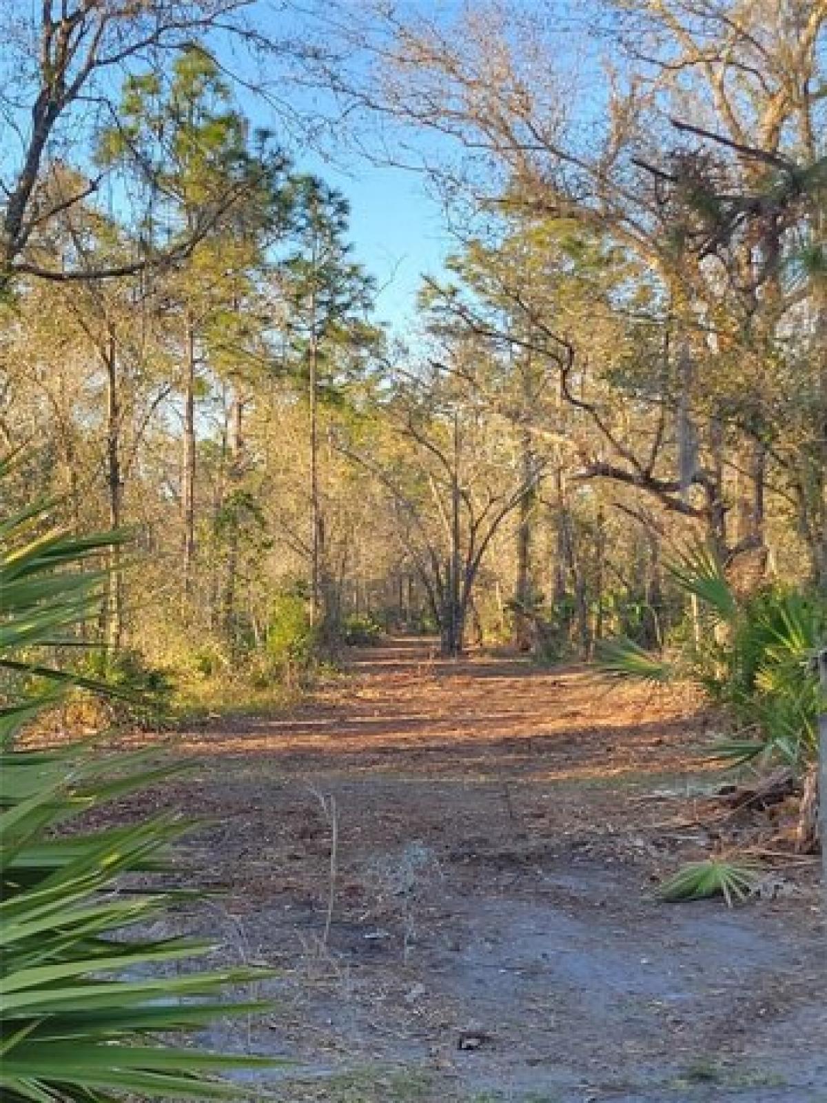 Picture of Residential Land For Sale in Myakka City, Florida, United States