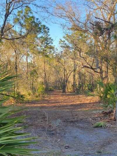 Residential Land For Sale in Myakka City, Florida