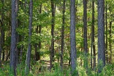 Residential Land For Sale in Nathalie, Virginia