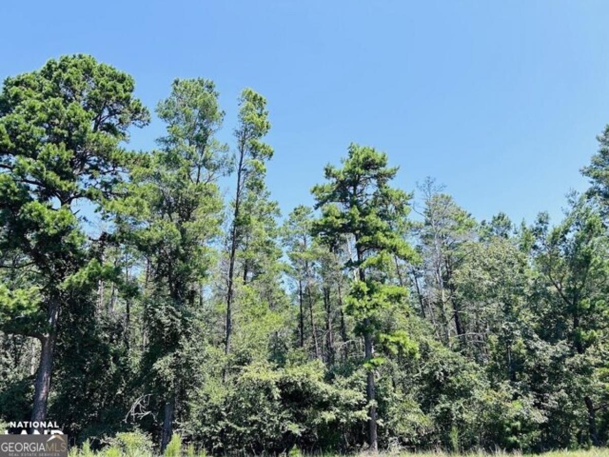 Picture of Residential Land For Sale in Butler, Georgia, United States