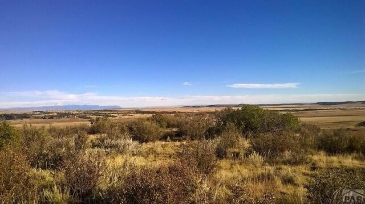 Picture of Residential Land For Sale in Beulah, Colorado, United States