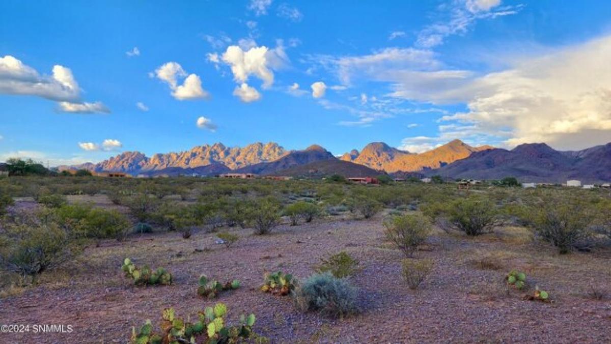 Picture of Residential Land For Sale in Las Cruces, New Mexico, United States