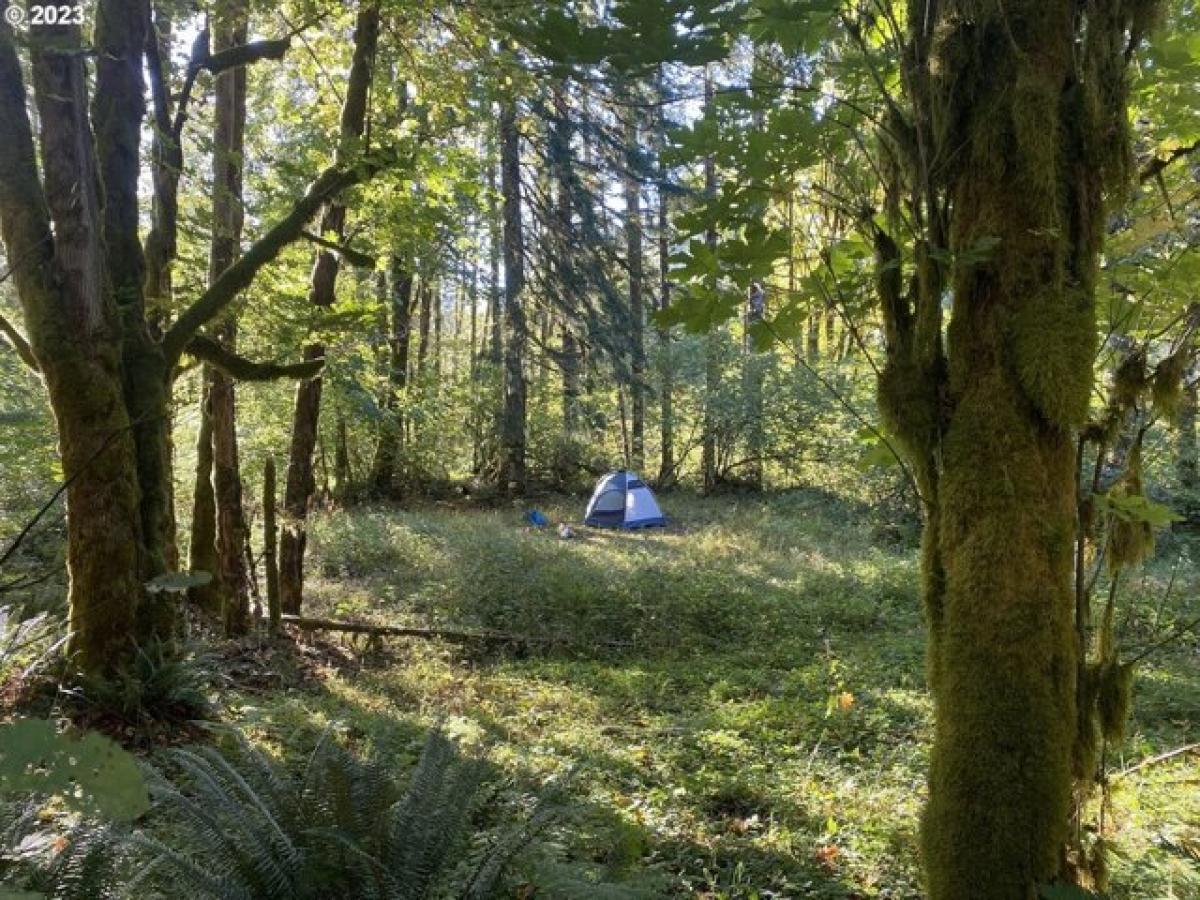 Picture of Residential Land For Sale in Tillamook, Oregon, United States