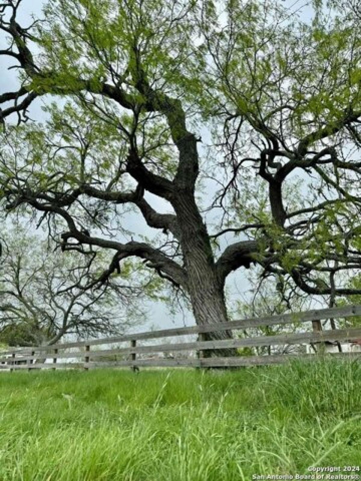 Picture of Residential Land For Sale in Yorktown, Texas, United States